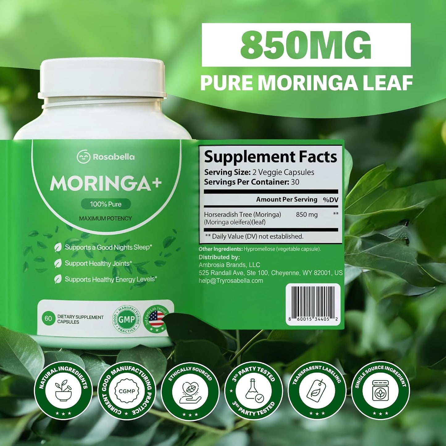 Rosabella Moringa+ – Daily Moringa Leaf Supplement, 60 Capsules